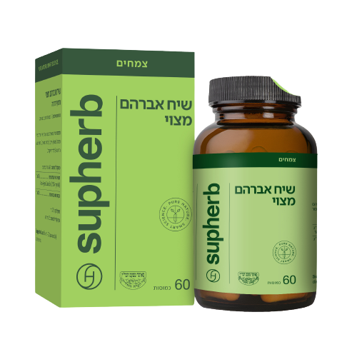 סופהרב תמצית אגנוס קאסטוס  ( שיח אברהם מצוי ) | 60 כמוסות | Vitex Agnus Castus | תוסף תזונה | סופהרב | Supherb