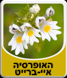 האופרסיה חליטת צמחים | מכיל 50 גרם | הרבה סנטר