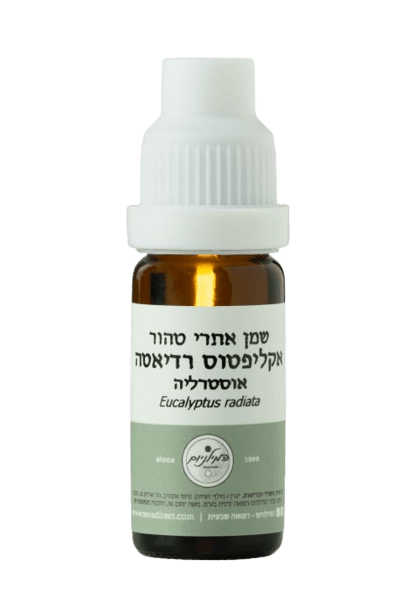 שמן אתרי טהור אקליפטוס רדיאטה | 50 מ"ל | המילניום