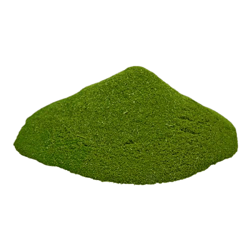 מורינגה אורגני | אבקה 50 גרם |