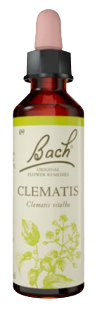 CLEMATIS | טיפות לשתייה על בסיס תמציות פרחי באך | מכיל 20 מ"ל |