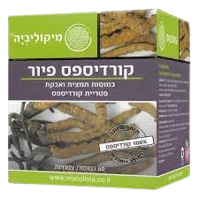 קורדיספס פיור מיקוליביה - 60 כמוסות