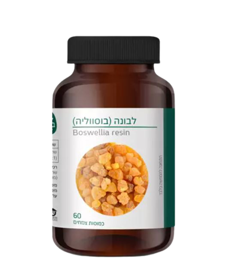לבונה | בוסווליה | מבית ברא צמחים | מכיל 60 כמוסות