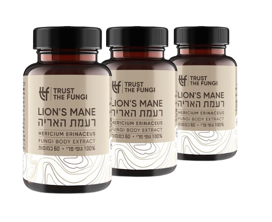 פטריית רעמת האריה | מיצוי 100% גופי פרי | בשיטת FBE | מבצע שלישייה | מכיל 180 כמוסות |