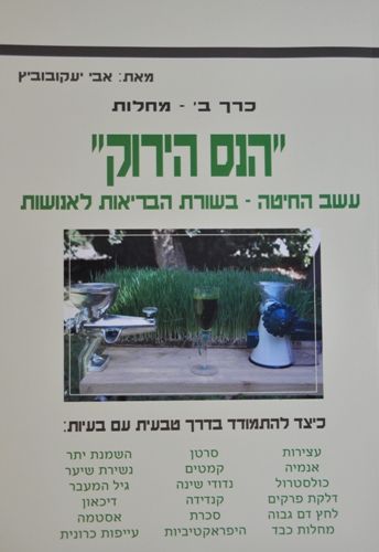 הנס הירוק עשב חיטה - חלק בױ - - אבי יעקובוביץ - המילניום