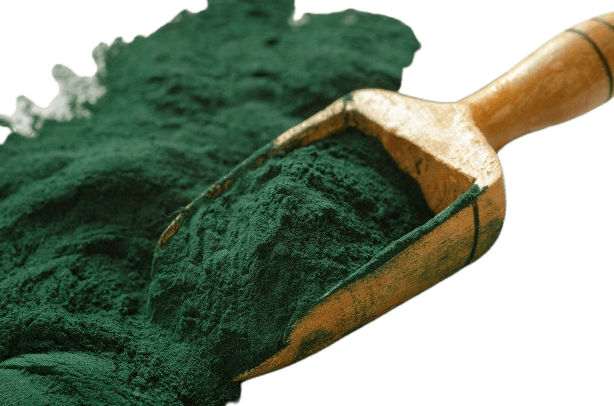 אבקת אצת ספירולינה - 500 גרם | גרין לייף