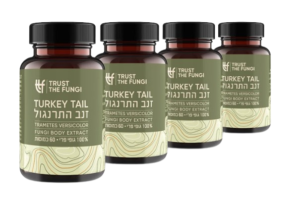 פטריית זנב התרנגול | מיצוי 100% גופי פרי | בשיטת FBE | מבצע רביעייה | מכיל 240 כמוסות |