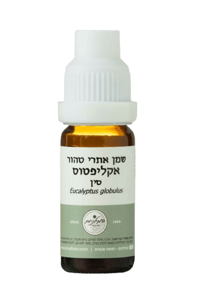שמן אתרי טהור אקליפטוס | 10 מ"ל |