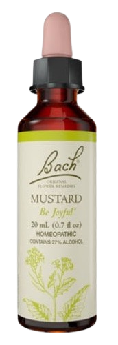MUSTARD | טיפות לשתייה על בסיס תמציות פרחי באך | מכיל 20 מ"ל |