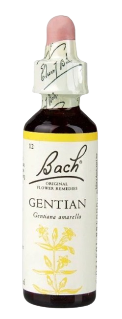 GENTIAN | טיפות לשתייה על בסיס תמציות פרחי באך | מכיל 20 מ"ל |