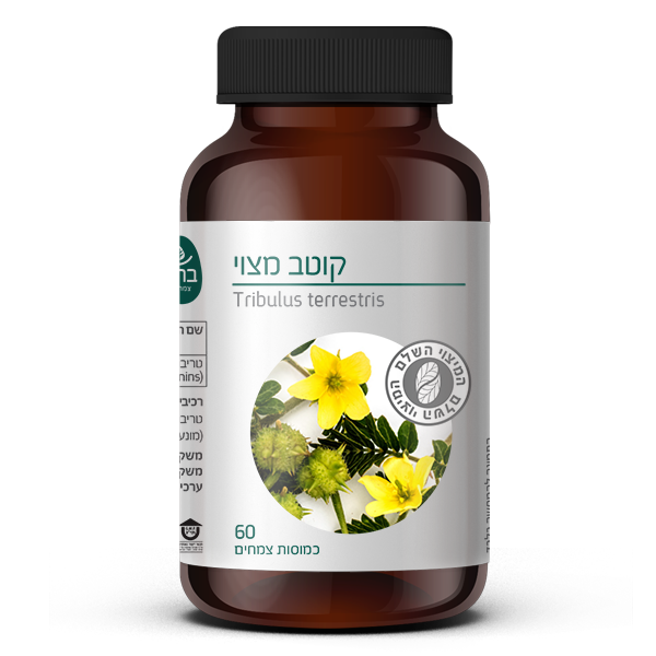 קוטב מצוי עלים | מכיל 60 כמוסות | כשר | מבית ברא צמחים