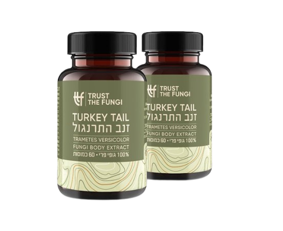 פטריית זנב התרנגול | מיצוי 100% גופי פרי | בשיטת FBE | מבצע זוג  | מכיל 120 כמוסות |