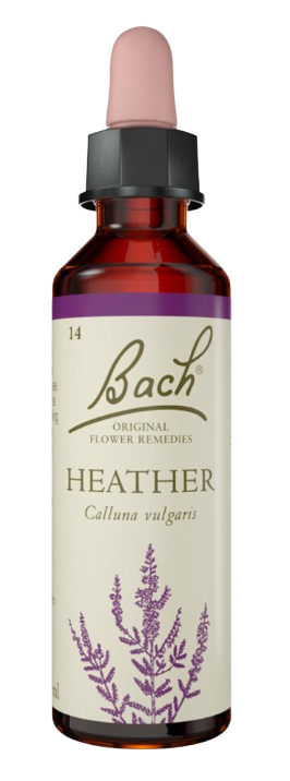 HEATHER | טיפות לשתייה על בסיס תמציות פרחי באך | מכיל 20 מ"ל |