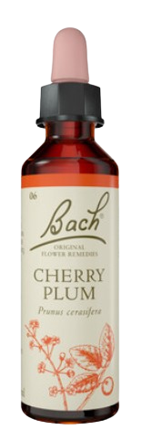 CHERRY PLUM | טיפות לשתייה על בסיס תמציות פרחי באך | מכיל 20 מ"ל |