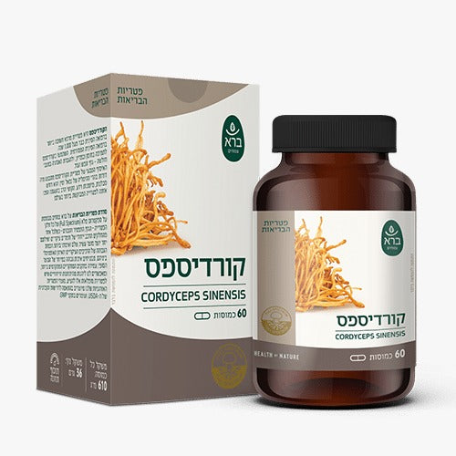 ברא- קורדיספס CORDYCEPS SINENSIS | מכיל 60 כמוסות