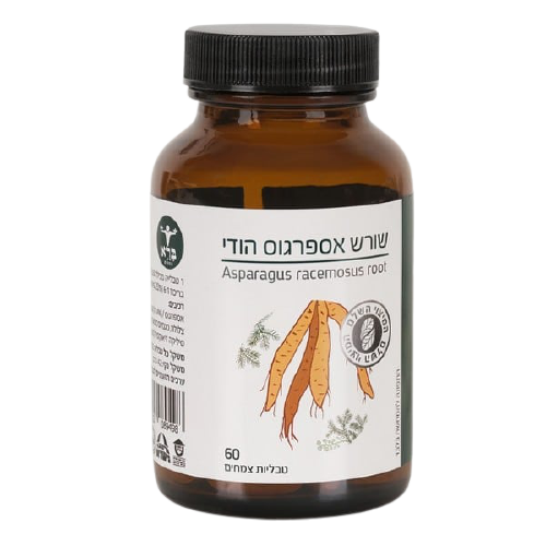 שורש אספרגוס הודי | מכיל 60 טבליות | ברא צמחים | צמחי מרפא | אספרגוס הודי ברא צמחים | BARA