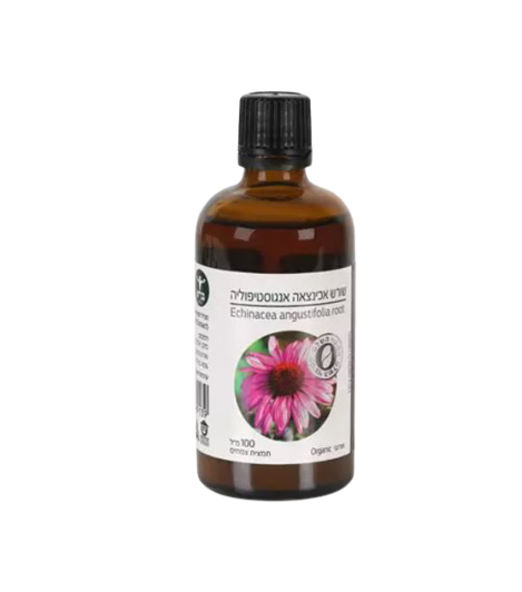 שורש אכינצאה אנגוסטיפוליה | מכיל 100 מ"ל | מבית ברא צמחים