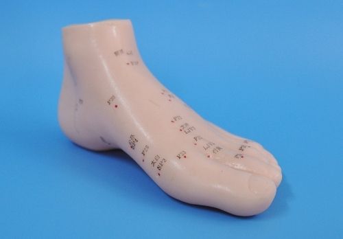 דגם כף רגל 15 סמ - המילניום